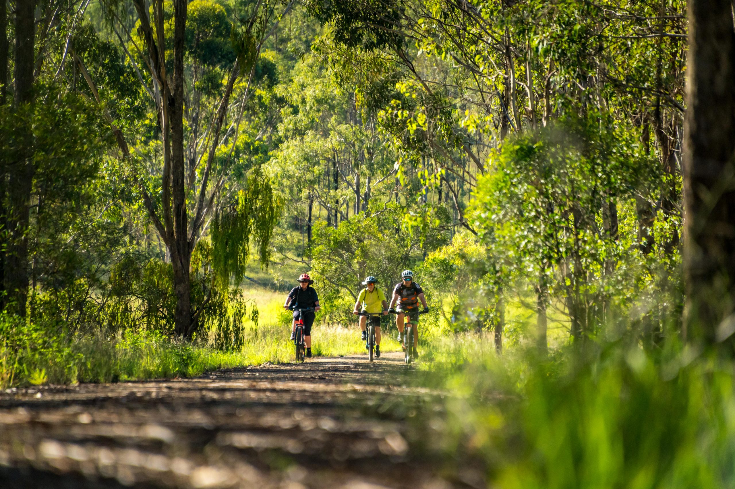 brisbane rail trail tours